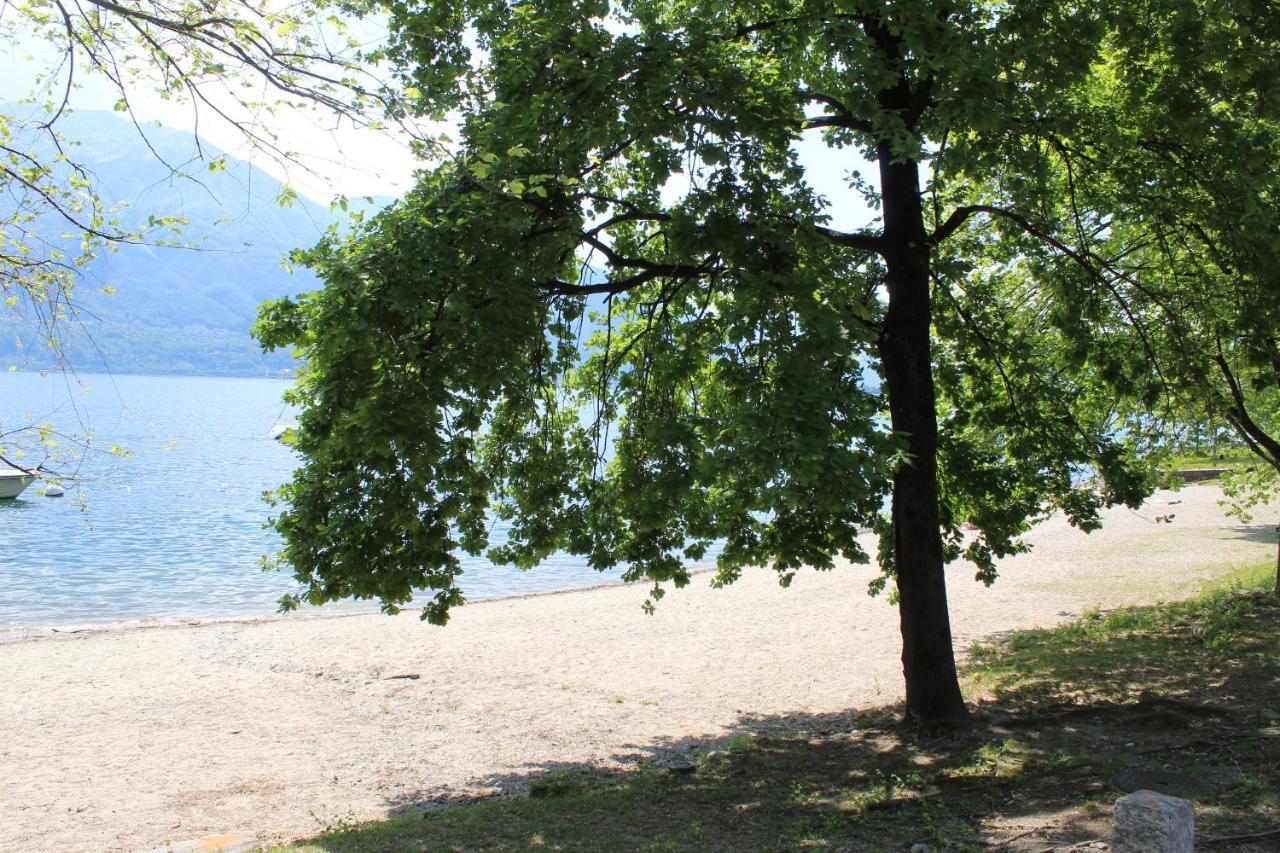 Appartamento Con Terrazza A Due Minuti Dal Lago Minusio Bagian luar foto